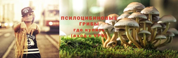 твердый Алзамай