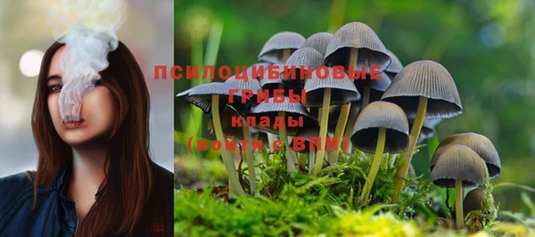 твердый Алзамай