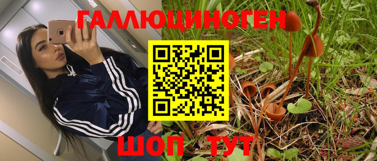 Псилоцибиновые грибы GOLDEN TEACHER Лянтор