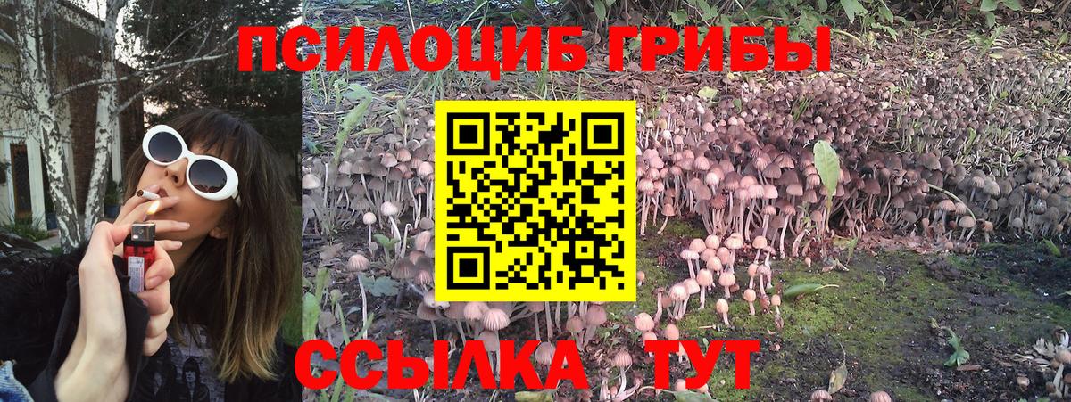 Псилоцибиновые грибы MAGIC MUSHROOMS  Вход с VPN  Лянтор  дарнет шоп  Галлюциногенные грибы Psilocybine cubensis 